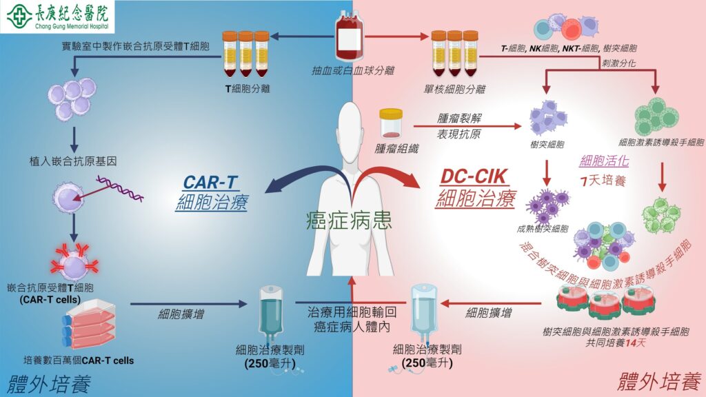 細胞治療在長庚-打造抗癌新希望