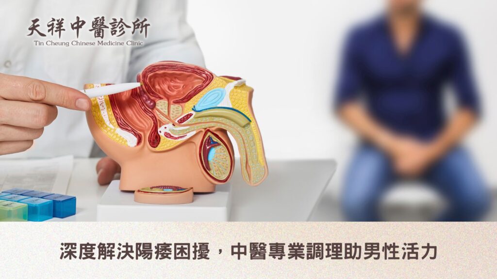 深度解決陽痿困擾，中醫專業調理助男性活力