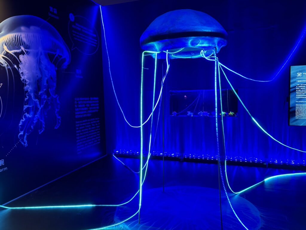 海科館年度壓軸特展「深海之境」盛大登場-探索深海的奧秘