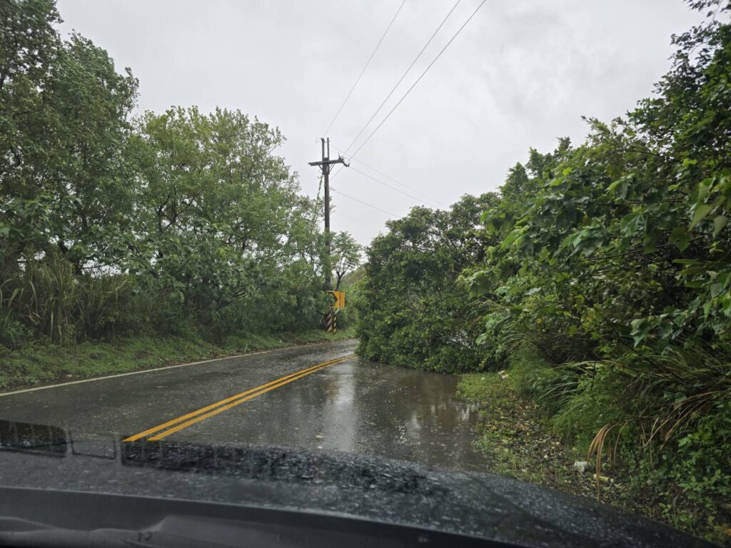 桃園龜山多處路樹倒塌-警冒雨疏導交通
