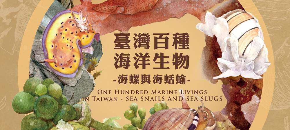 海保署出版 《臺灣百種海洋生物》系列圖鑑第5集-揭開海螺與海蛞蝓神秘面紗