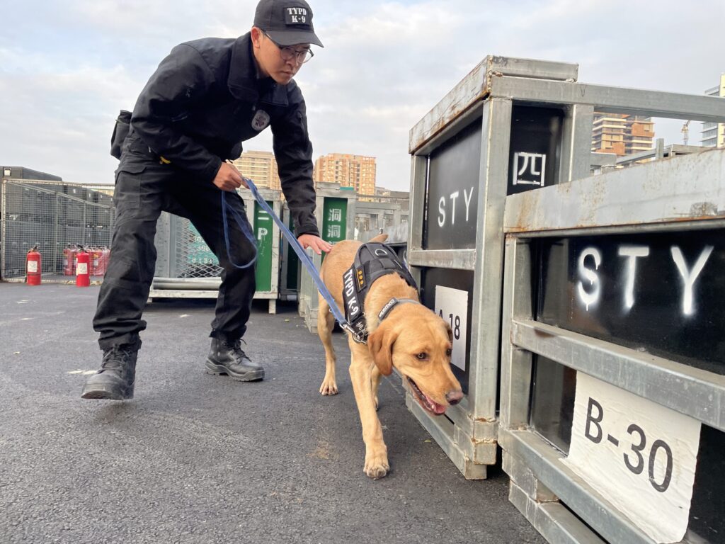 壢警全力守護跨年晚會安全-桃園警犬隊也出動
