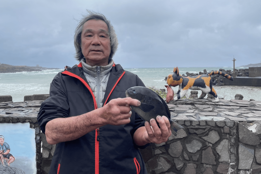 冬春限定美味-東北角黑毛魚肥美上桌-釣客與饕客齊聚