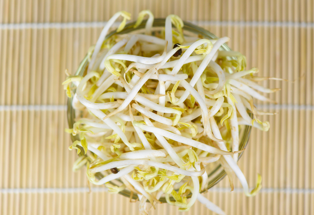 豆芽菜料理不踩雷！農糧署教你挑選、烹飪妙招