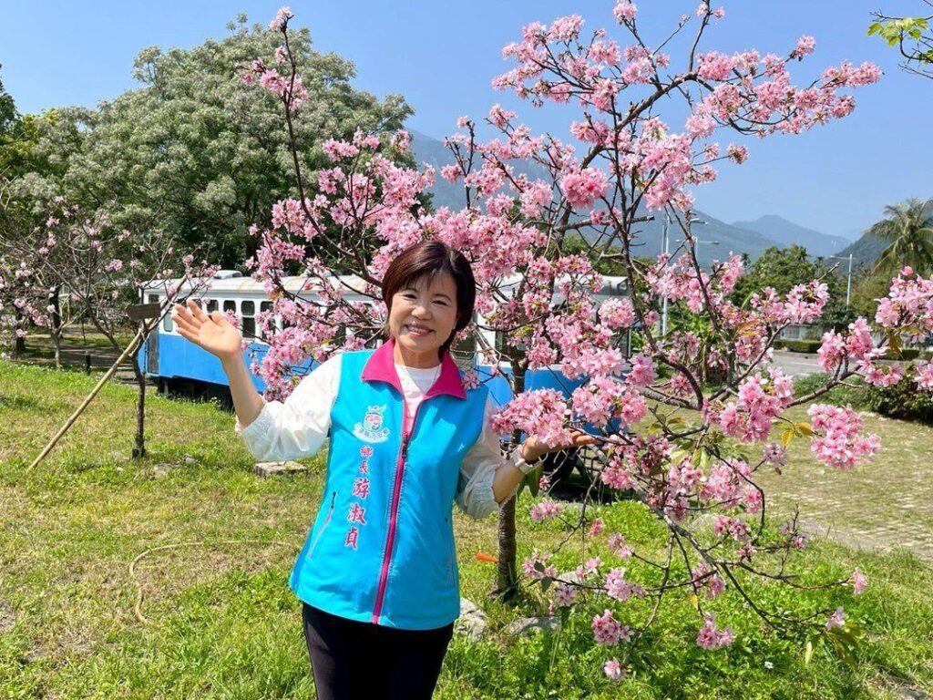 吉安櫻花公園繁花盛開-游淑貞邀約鄉親賞花趣