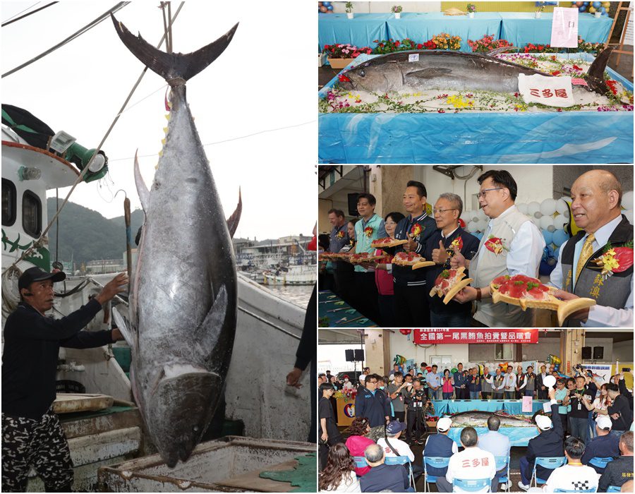 2025全國第一黑鮪魚拍賣-總價166萬3200元-每公斤7700元賣出