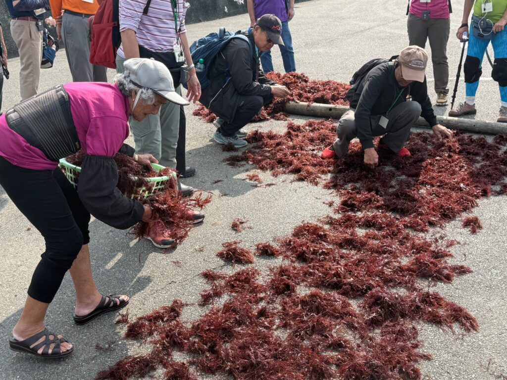 生態旅遊深訪南雅、鼻頭-踩線首發團回應熱烈