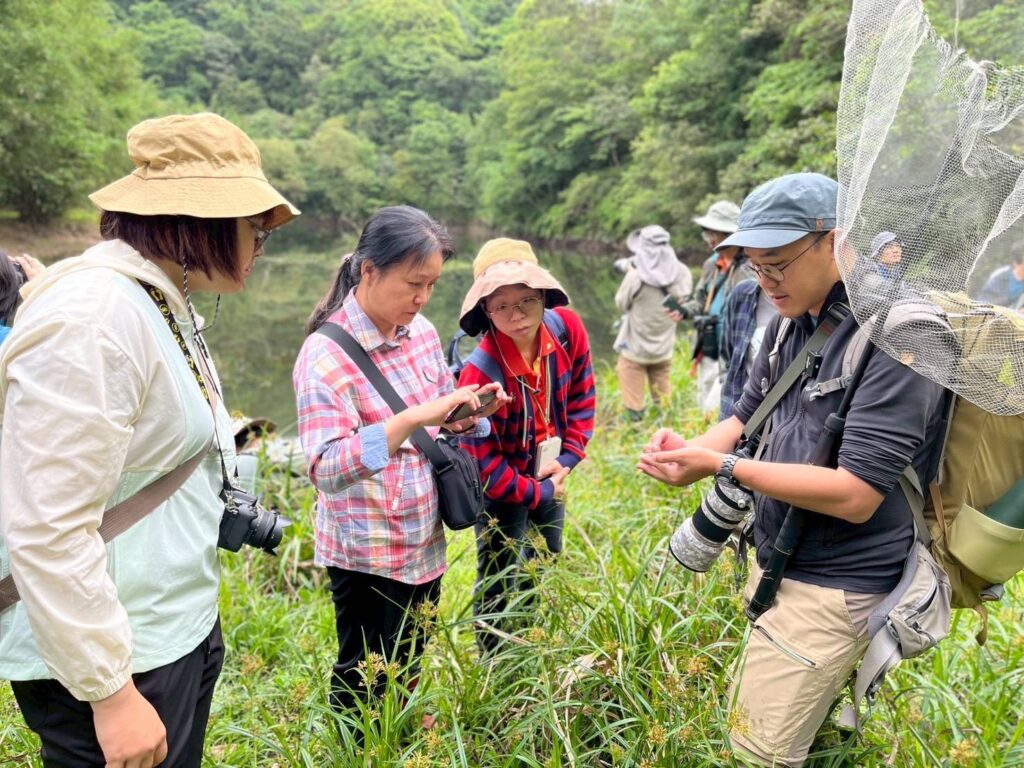 雙連埤生態保育有成-蜻蜓與豆娘頻現蹤