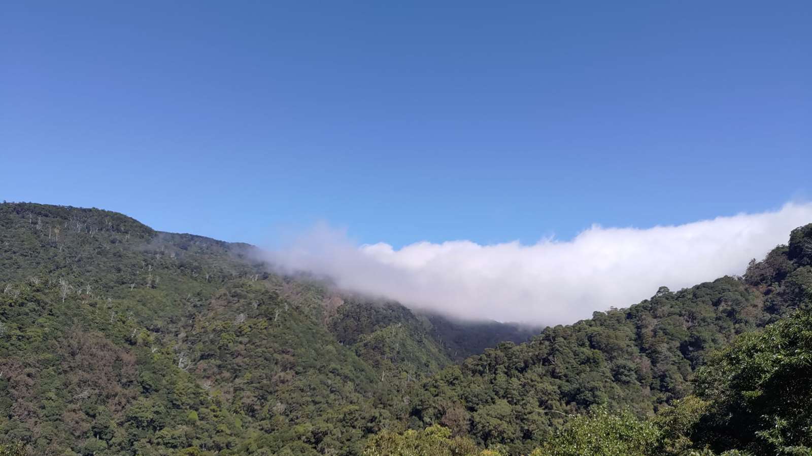 雙十連假桃園「拉拉山國家森林遊樂區」門票半價 秋日森林慢旅好去處 - 台北郵報 | The Taipei Post 雙十連假桃園「拉拉山國家森林遊樂區」門票半價 秋日森林慢旅好去處 - 台北郵報 | The Taipei Post