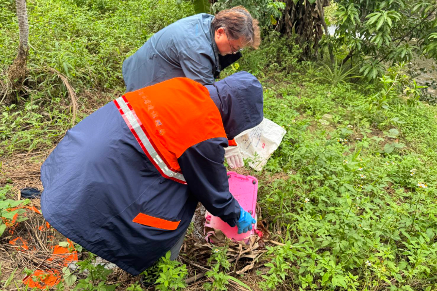 新北爆首例本土登革熱 6旬婦無旅遊史感染源不明 - 台北郵報 | The Taipei Post 新北爆首例本土登革熱 6旬婦無旅遊史感染源不明 - 台北郵報 | The Taipei Post