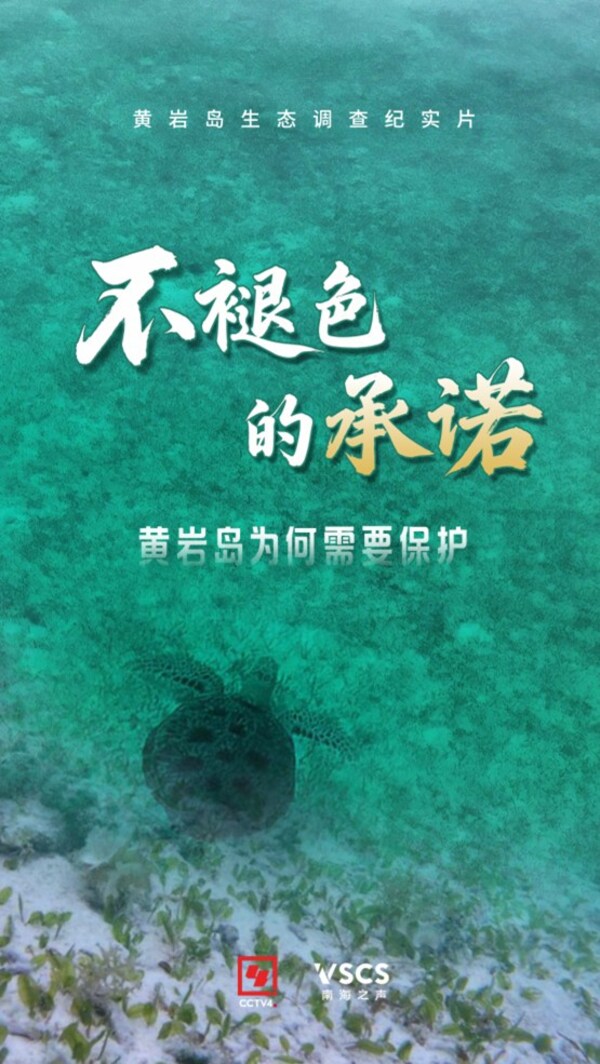 最新黃巖島生態紀實片《不褪色的承諾》發布 - 台北郵報 | The Taipei Post