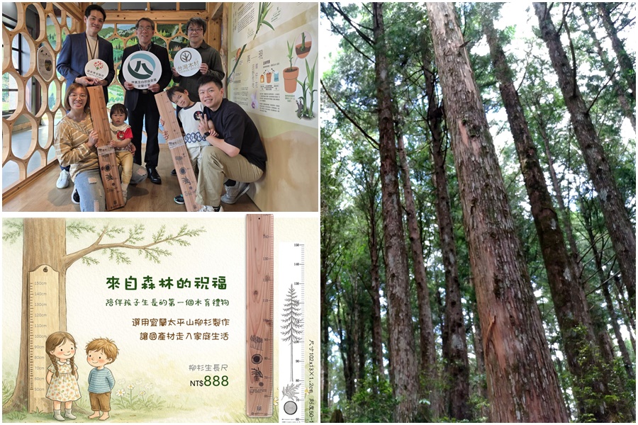 影音/國際森林日的限定祝福 321宜蘭新生兒可得柳杉生長尺 - 台北郵報 | The Taipei Post 影音/國際森林日的限定祝福 321宜蘭新生兒可得柳杉生長尺 - 台北郵報 | The Taipei Post
