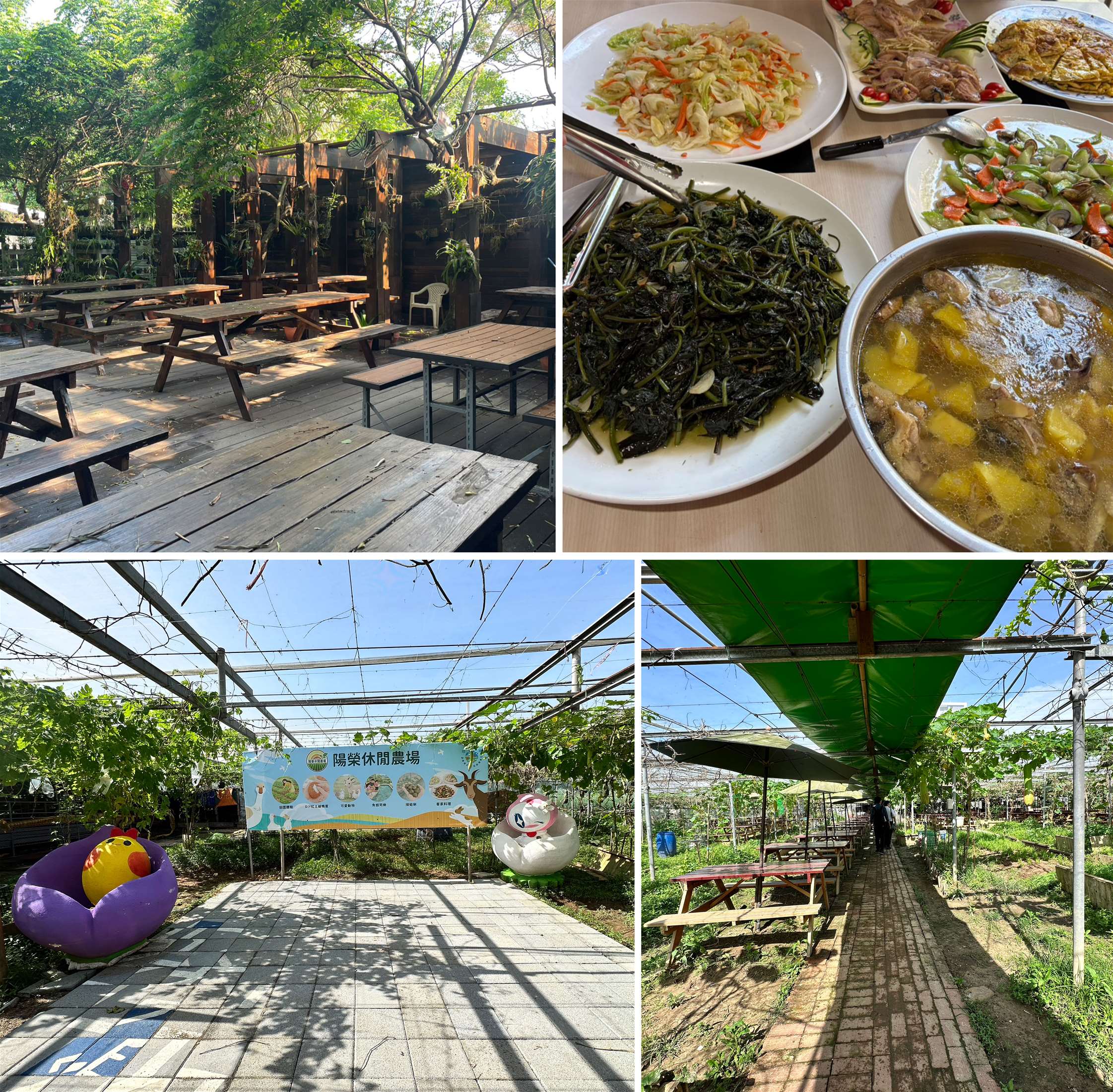夏日消暑推薦!桃園珍珠海岸清涼農遊 體驗大王蓮水上漂、鮮採瓜果及產地風土餐桌 - 台北郵報 | The Taipei Post 夏日消暑推薦!桃園珍珠海岸清涼農遊 體驗大王蓮水上漂、鮮採瓜果及產地風土餐桌 - 台北郵報 | The Taipei Post