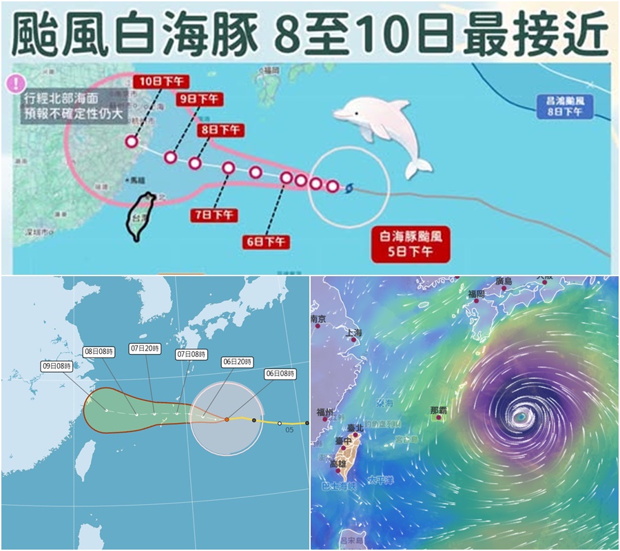 影音/20260806白海豚持續接近 估這期間通過臺灣北方海面 - 台北郵報 | The Taipei Post 影音/20260806白海豚持續接近 估這期間通過臺灣北方海面 - 台北郵報 | The Taipei Post