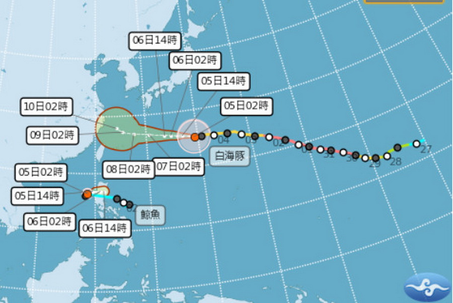 影音/20260805白海豚還在游 鯨魚又生成 - 台北郵報 | The Taipei Post 影音/20260805白海豚還在游 鯨魚又生成 - 台北郵報 | The Taipei Post