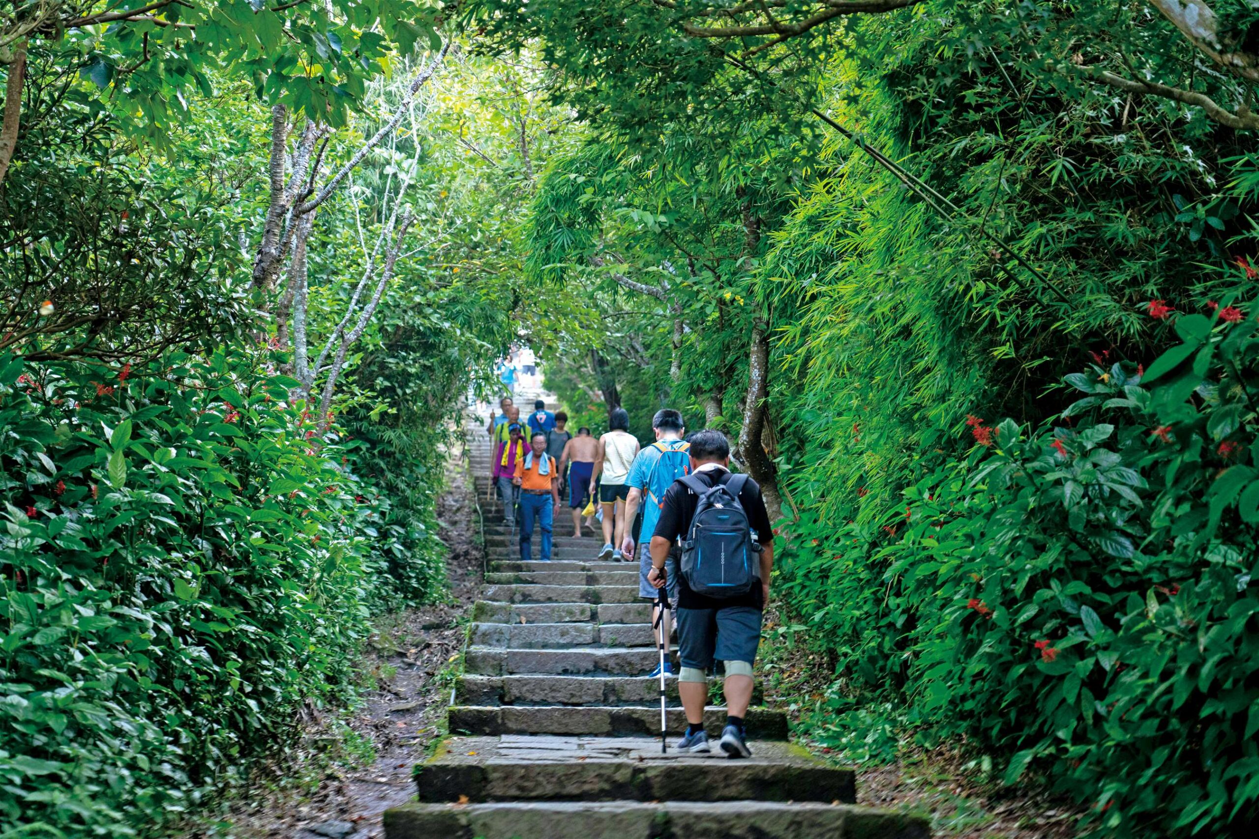 2026觀音觀鷹再觀櫻秋季登場 歡迎遊客走進觀音山感受自然生態之美 - 台北郵報 | The Taipei Post 2026觀音觀鷹再觀櫻秋季登場 歡迎遊客走進觀音山感受自然生態之美 - 台北郵報 | The Taipei Post