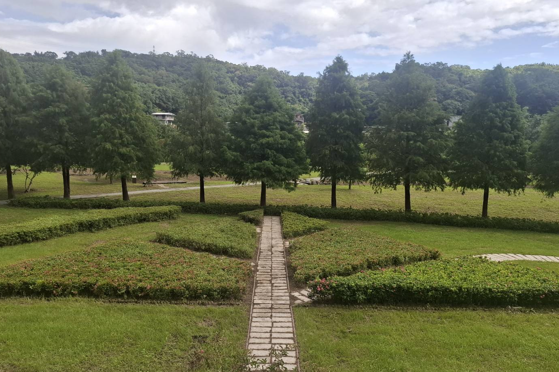 新北貢寮環保公園綠美化完工 打造落羽松圖騰小步道與繽紛花海 - 台北郵報 | The Taipei Post 新北貢寮環保公園綠美化完工 打造落羽松圖騰小步道與繽紛花海 - 台北郵報 | The Taipei Post